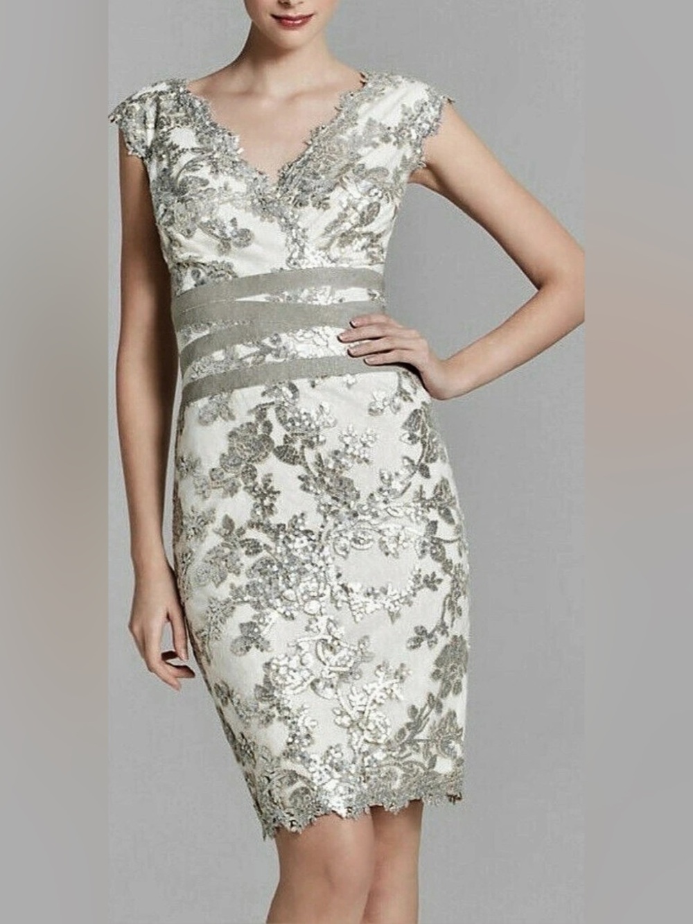 Tadashi Shoji Embroidered Floral Metallic Sequin Lace Dress Ivory White Silver 6